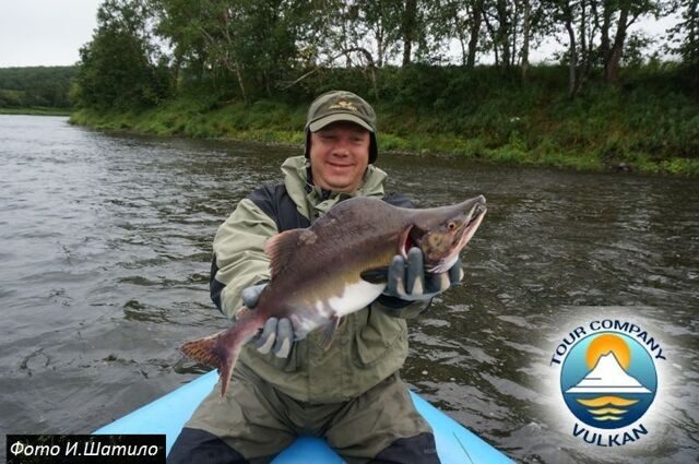 Озернинское водохранилище рыбалка форум. Озернинское водохранилище рыбалка. Озернинское водохранилище зимой. Судак Озернинское водохранилище. Рыба обитающая в Озернинском водохранилище.